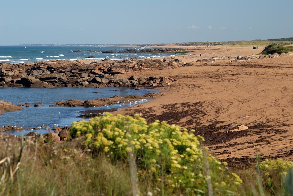 Vacancéole - Les Jardins de l'Amirauté Les Sables-dʼOlonne Exterior foto